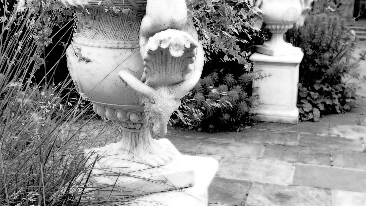 Photo of Others in Playhatch