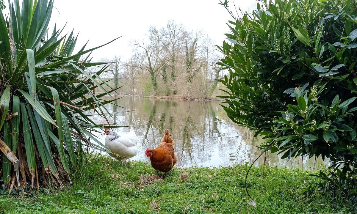 Photo of Outdoor in Itteville