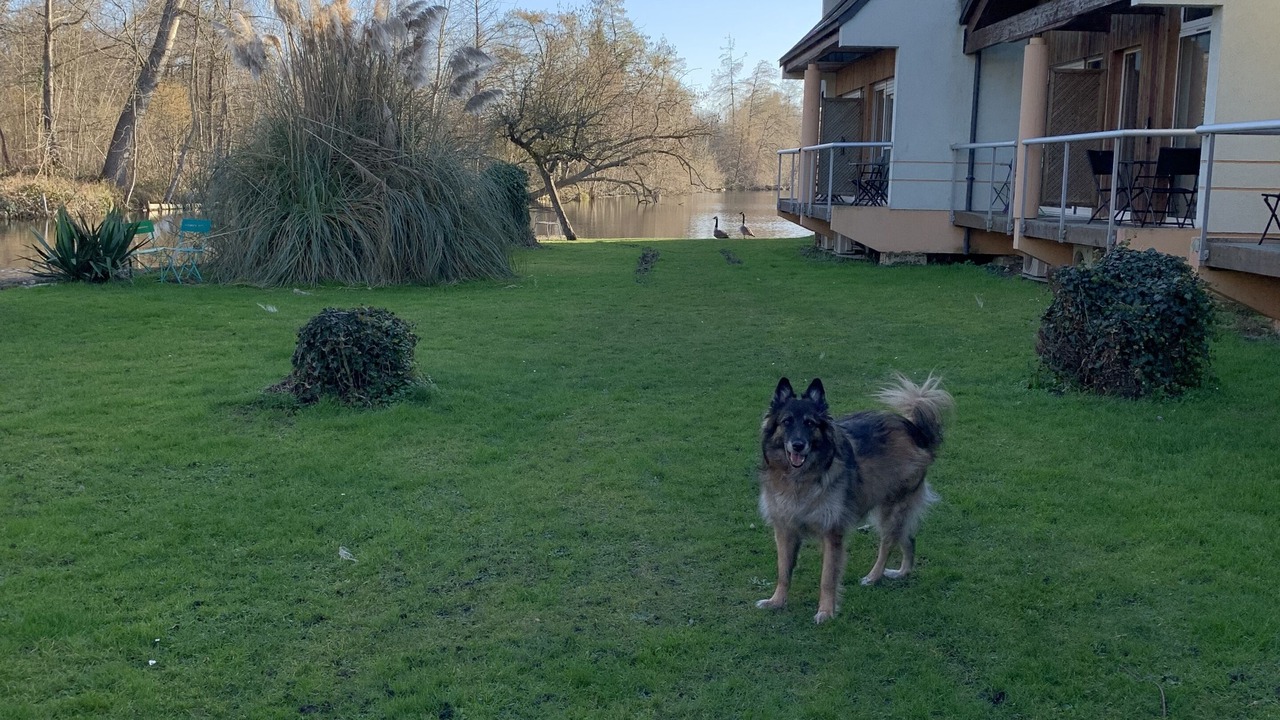 Photo of Outdoor in Itteville