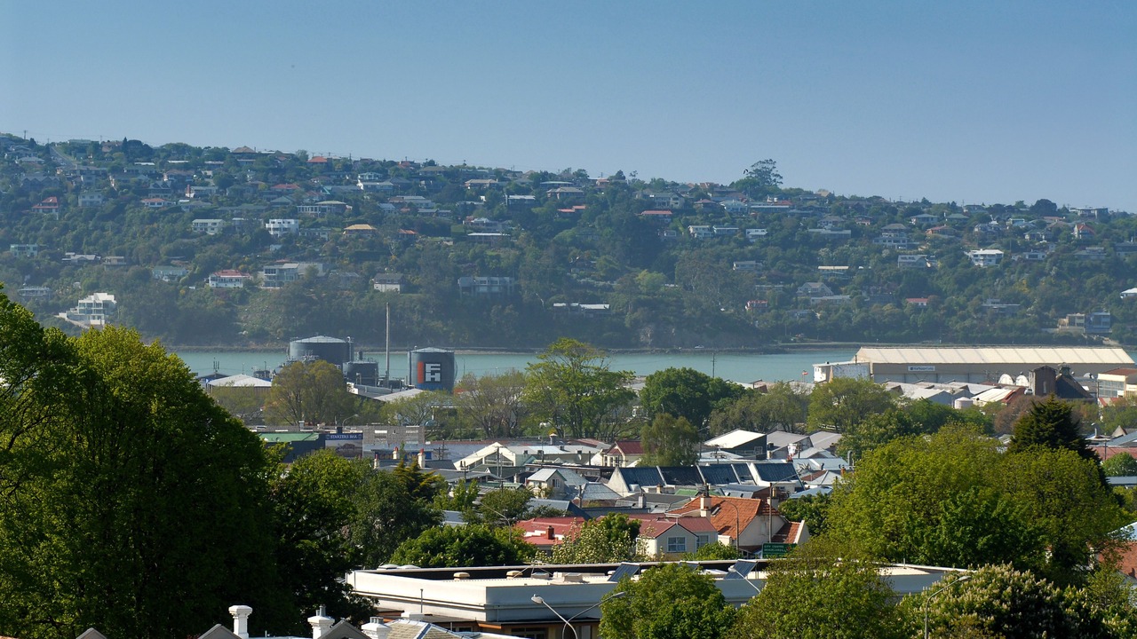 Photo of Outdoor in Dunedin City Centre