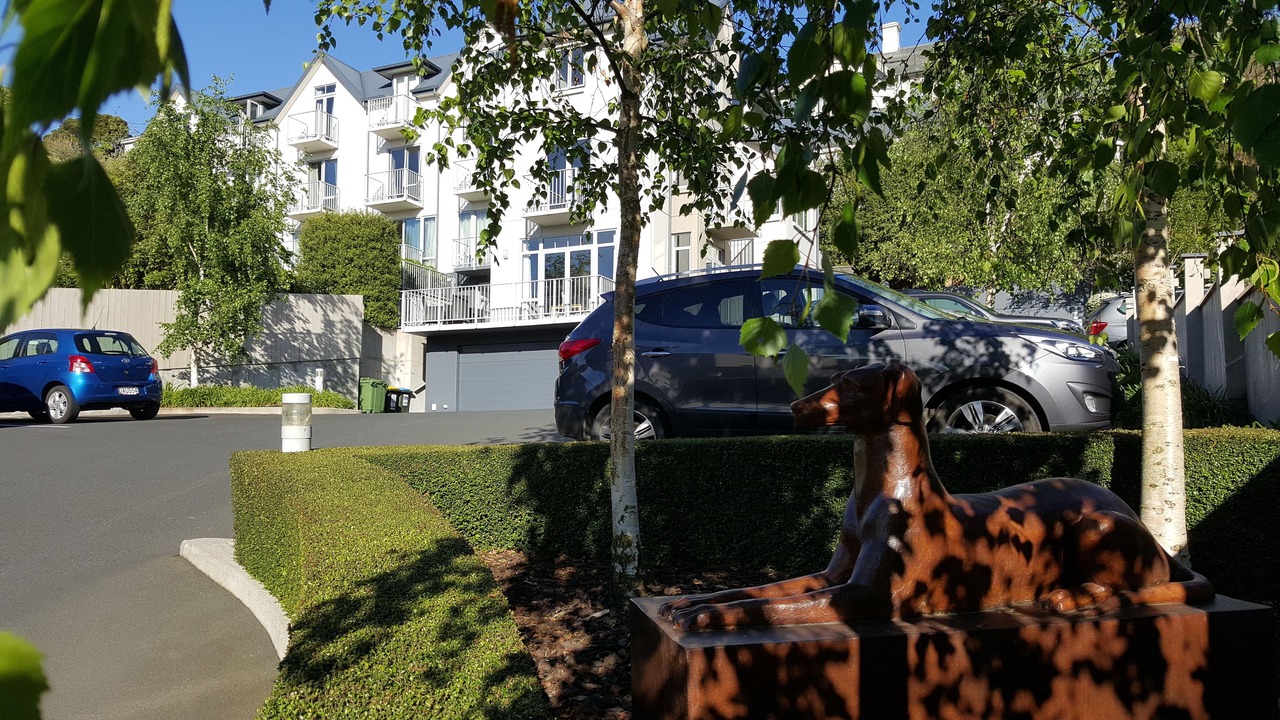 Photo of Outdoor in Dunedin City Centre