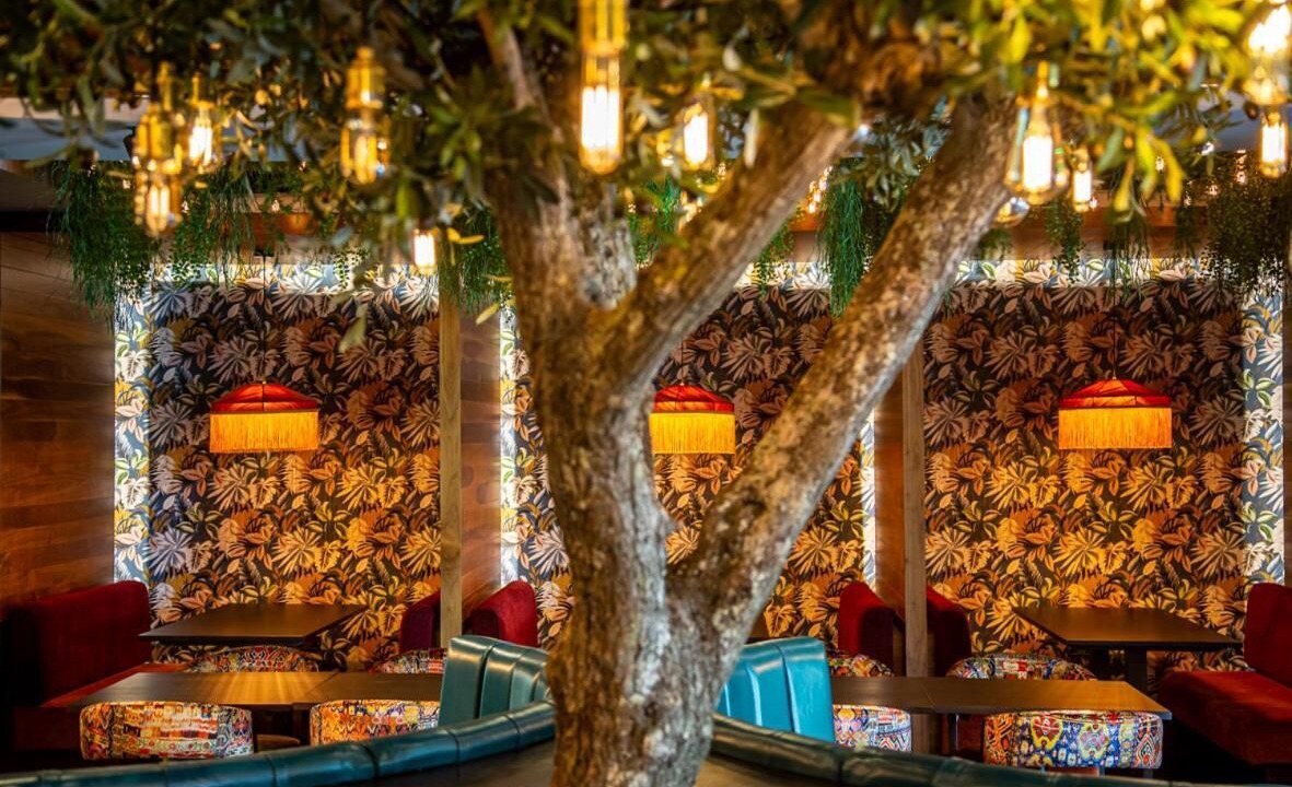 Photo of Others in Chesterfield