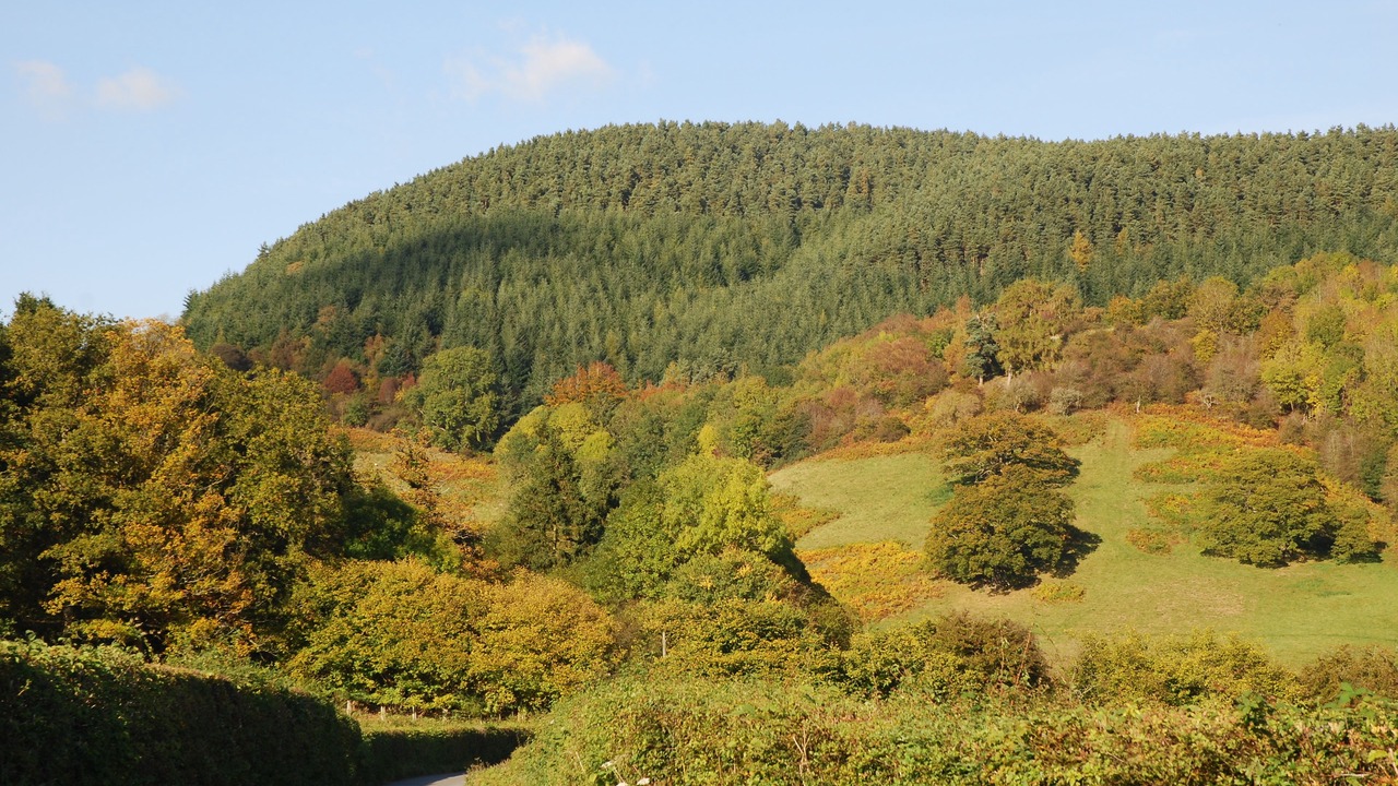 Photo of Outdoor in Bucknell