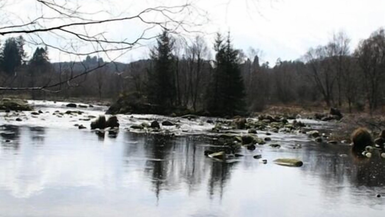 Photo of Others in New Galloway