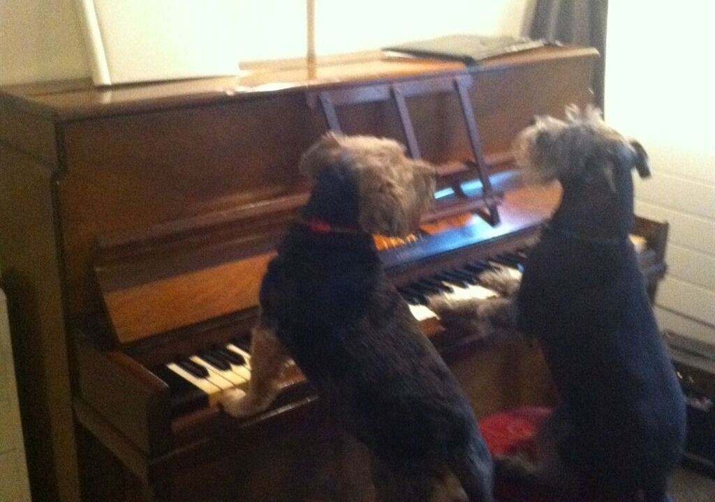 Photo of Others in New Galloway