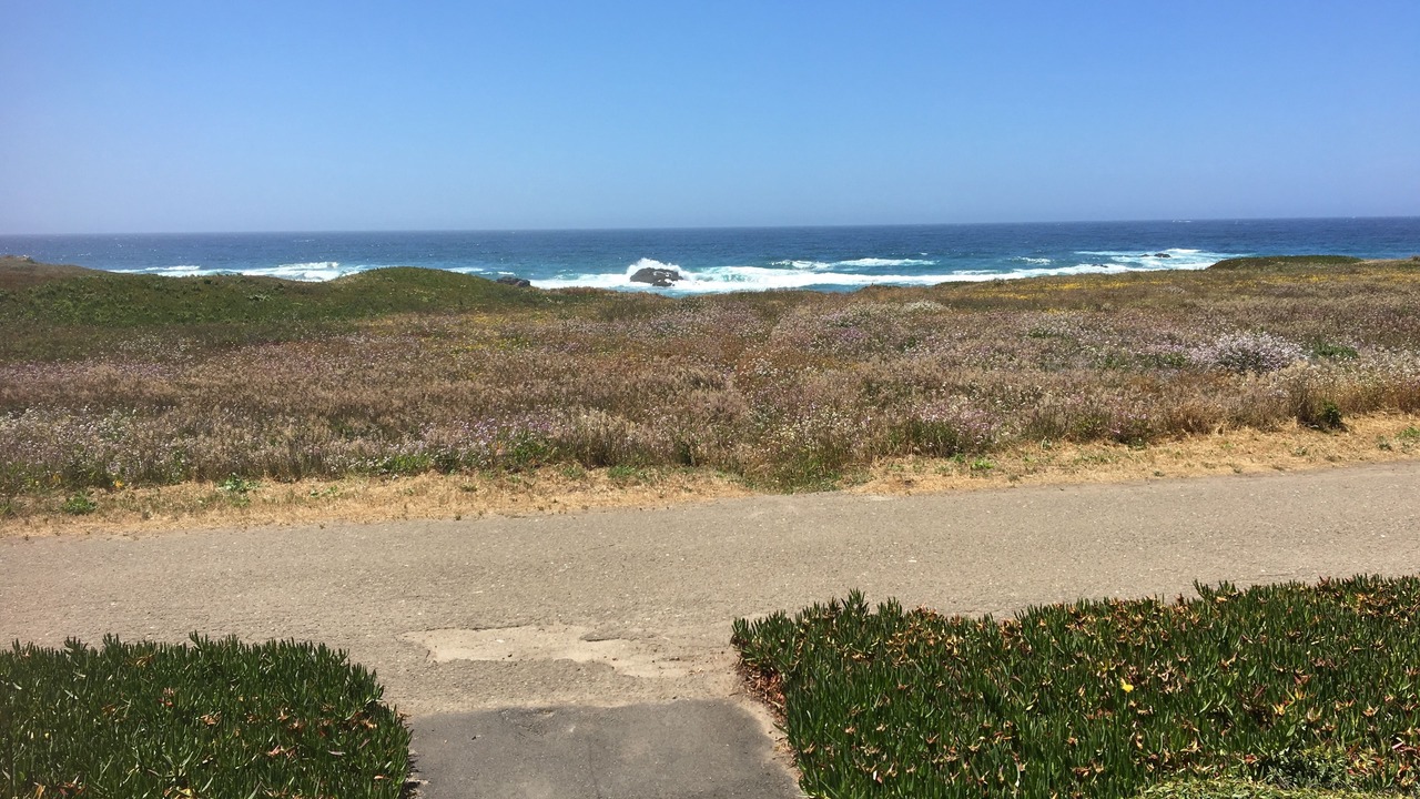 Photo of Others in Fort Bragg