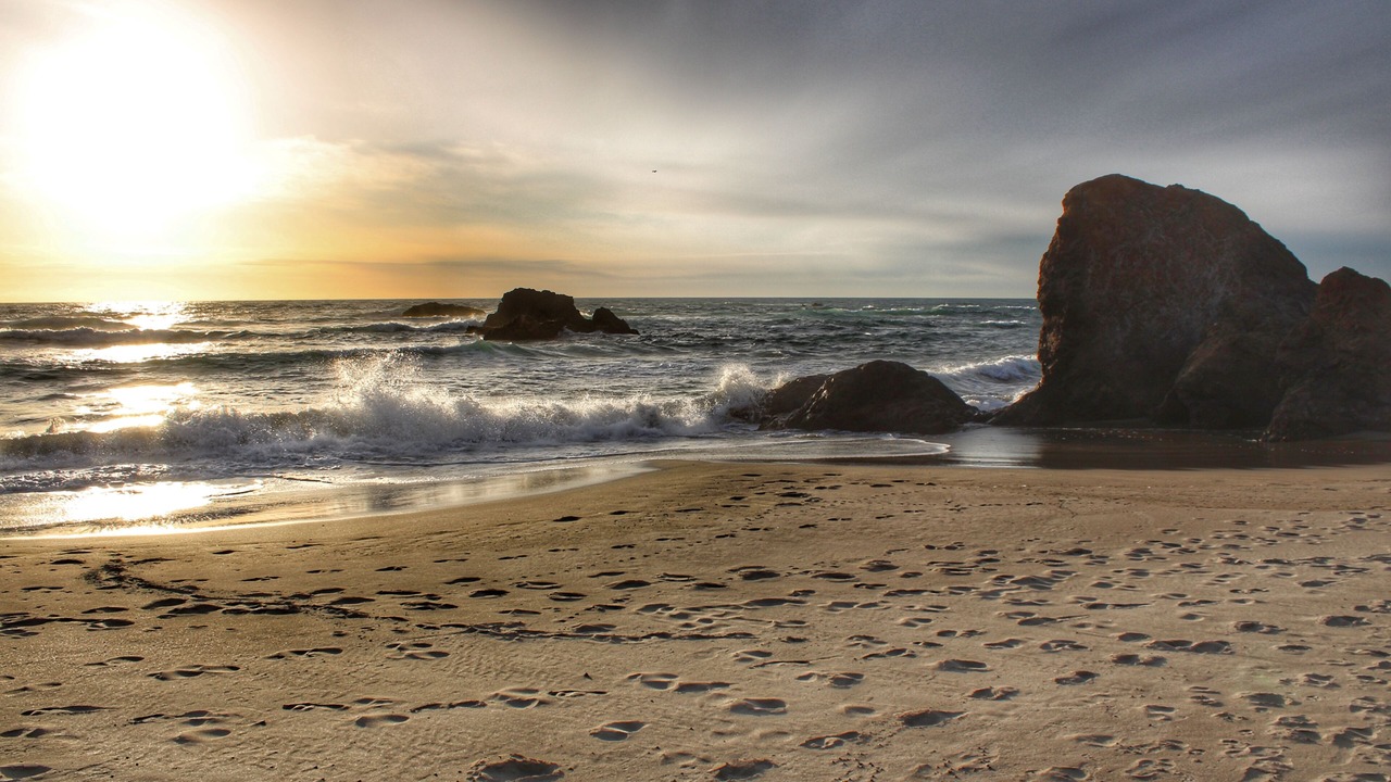 Photo of Outdoor in Fort Bragg