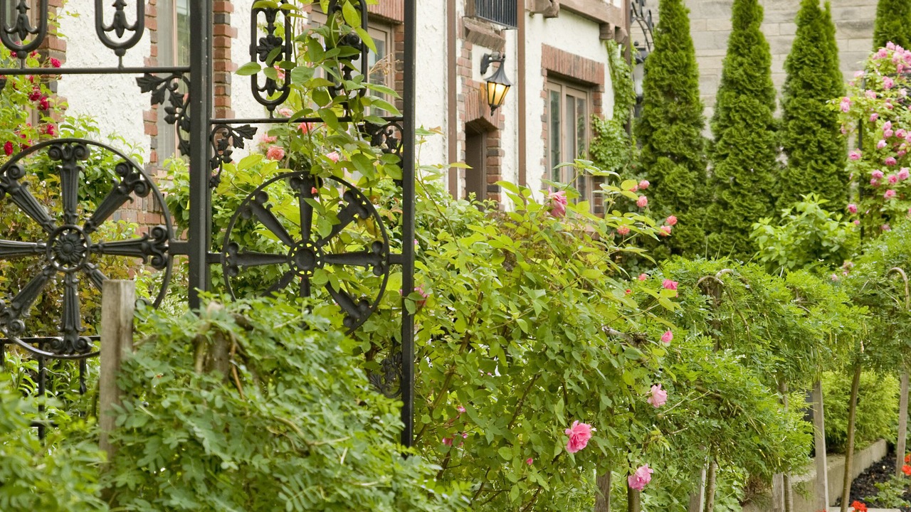 Photo of Outdoor in Downtown Niagara Falls