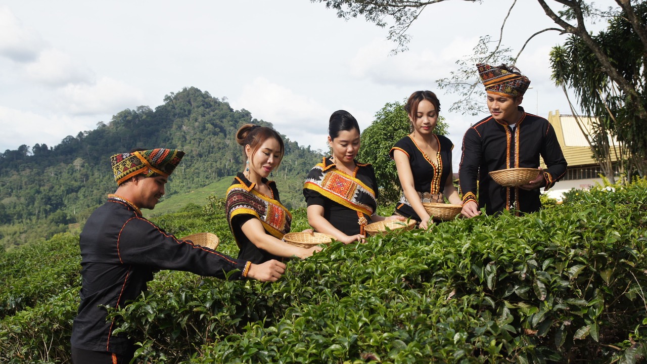 Photo of Others in Ranau