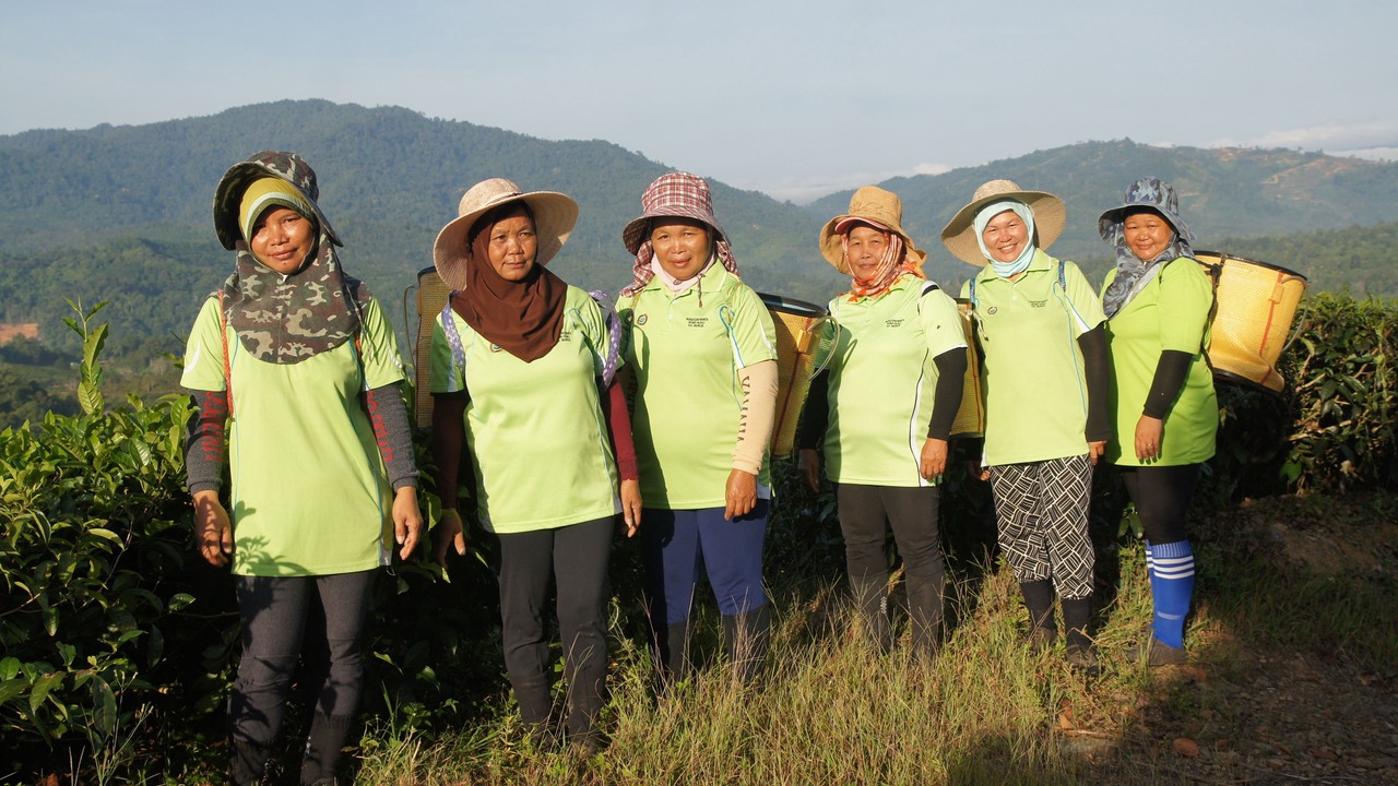 Photo of Others in Ranau