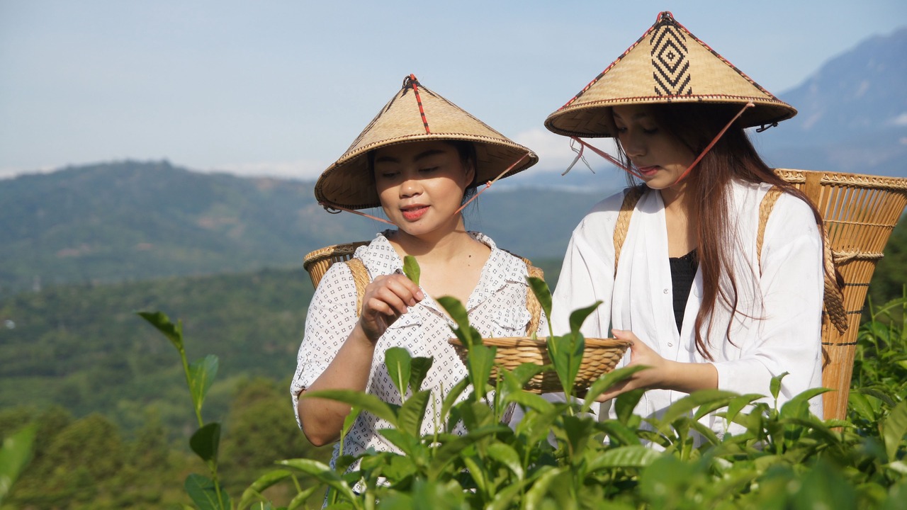 Photo of Outdoor in Ranau