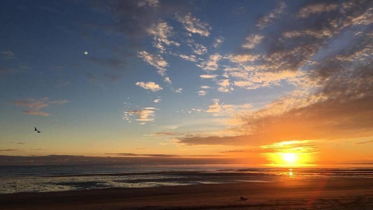 Photo of Others in Whakatane