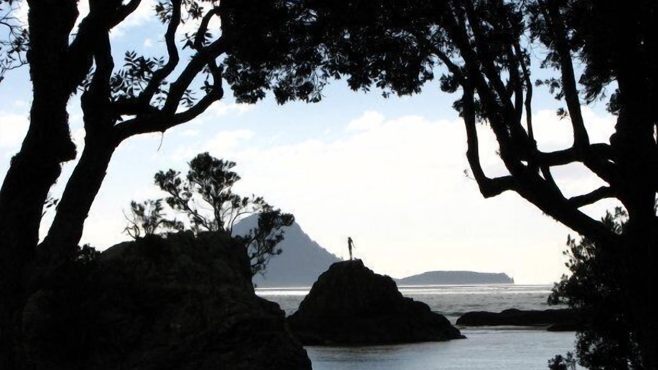 Photo of Others in Whakatane