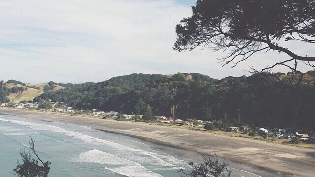 Photo of Others in Whakatane