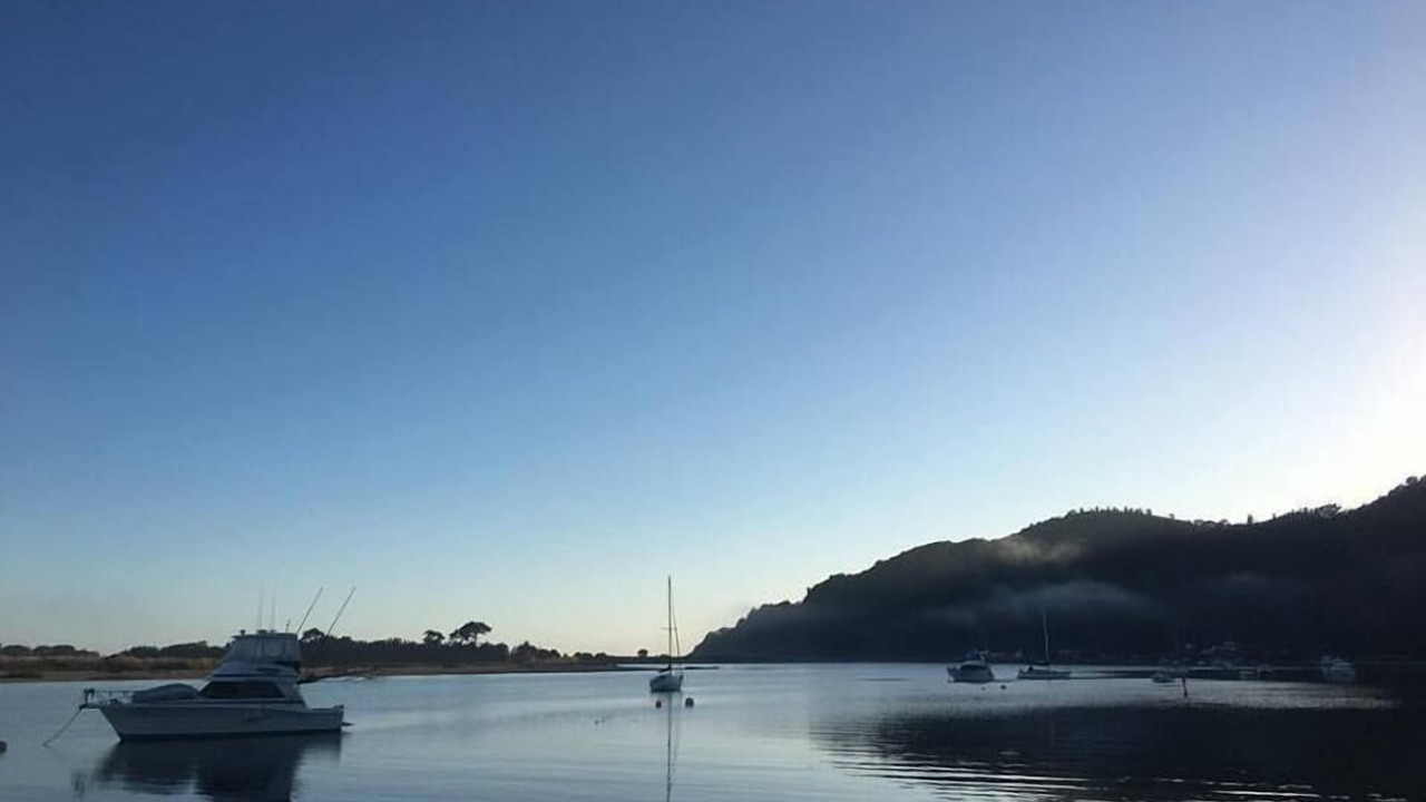 Photo of Others in Whakatane