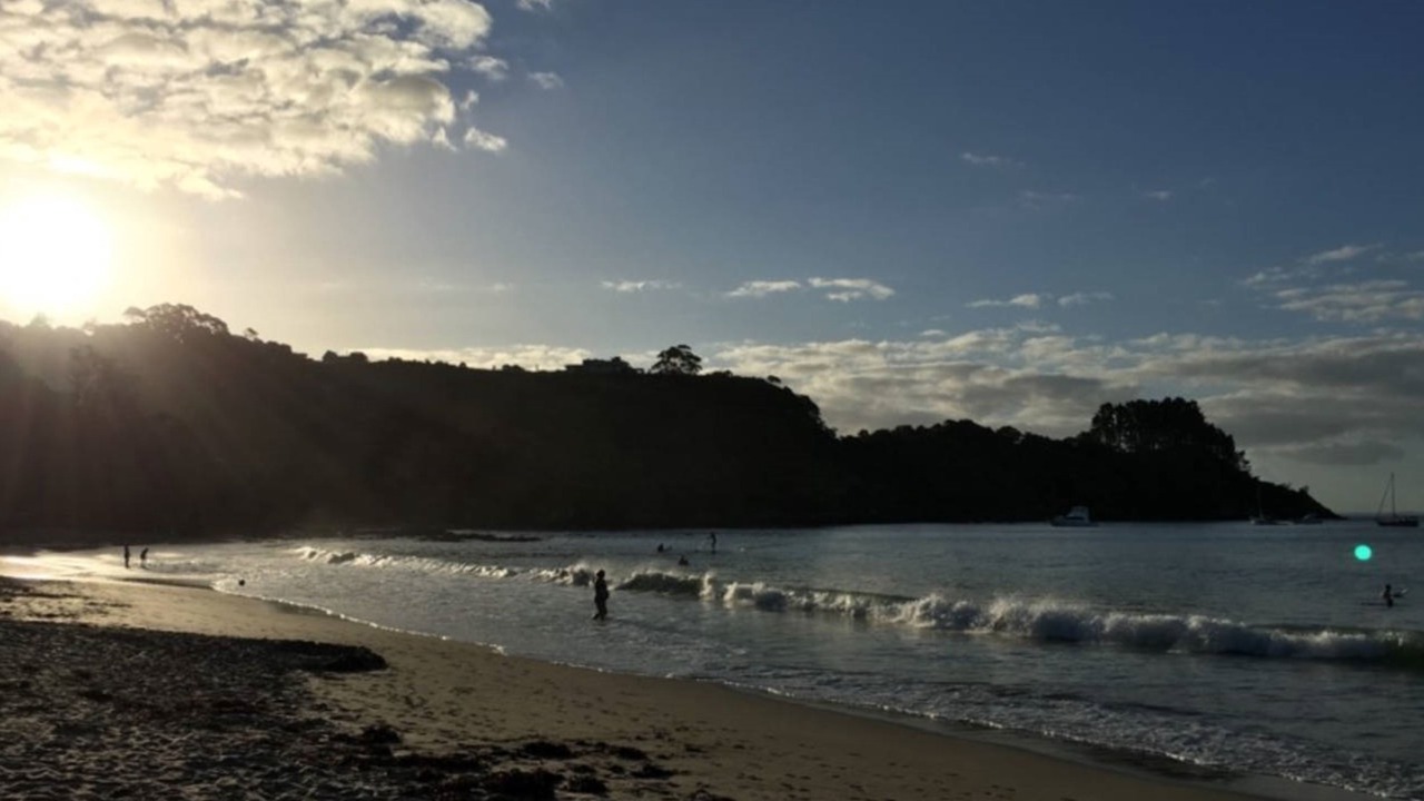 Photo of Others in Palm Beach