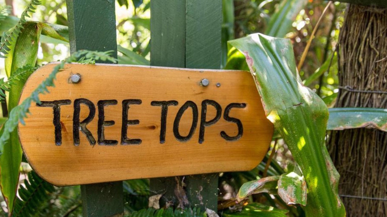 Photo of Outdoor in Palm Beach