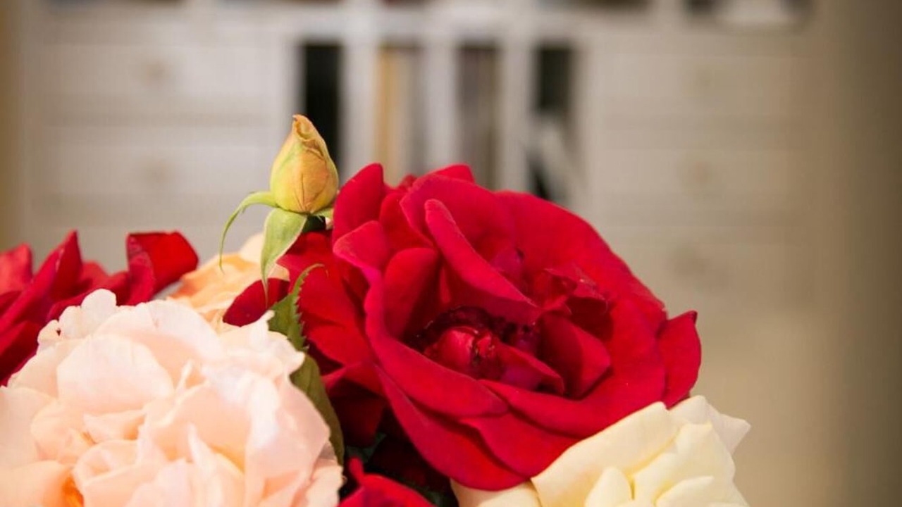 Photo of Others in Doue-la-Fontaine