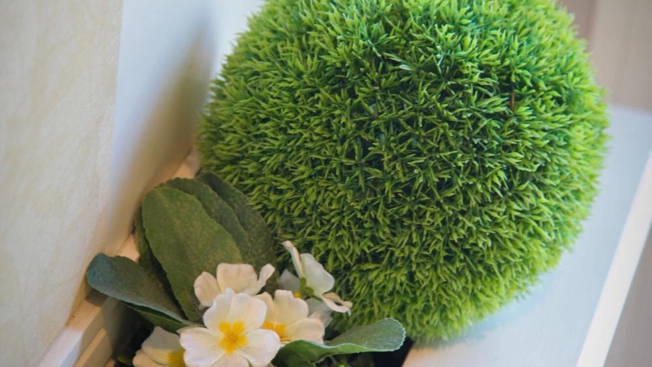 Photo of Others in Doue-la-Fontaine