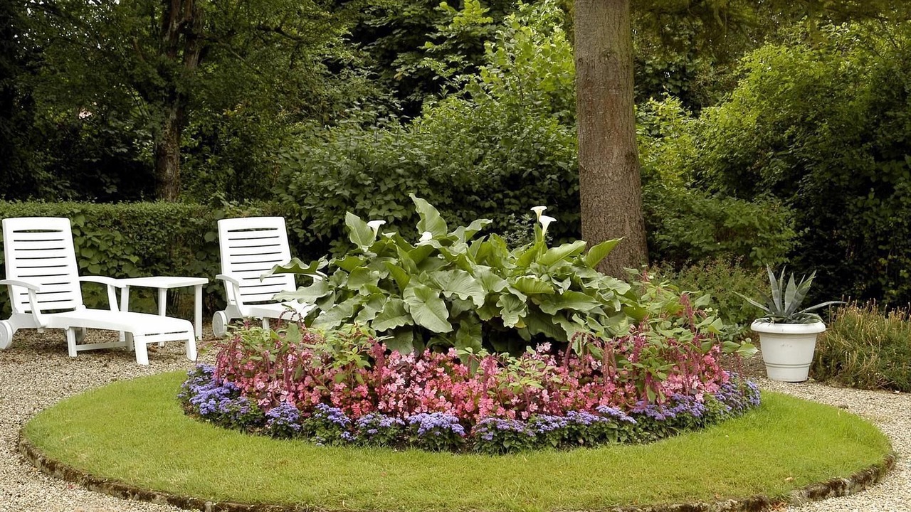 Photo of Outdoor in Buzancais