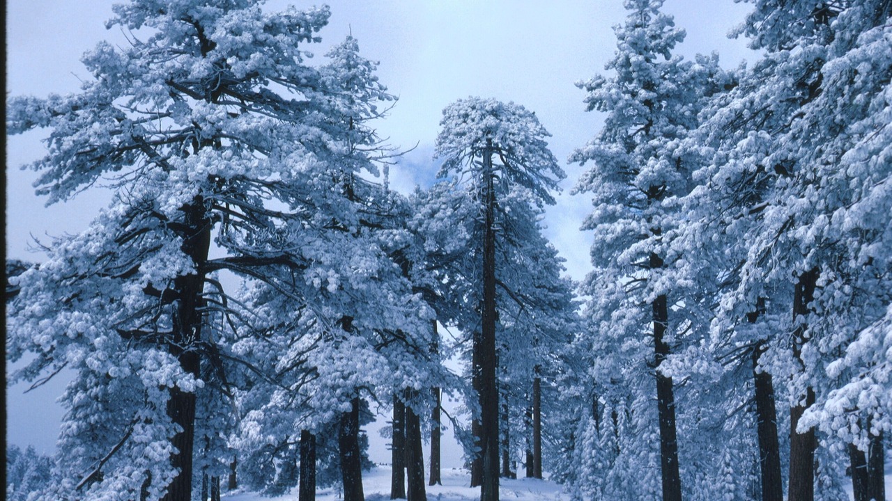 Photo of Outdoor in West Village