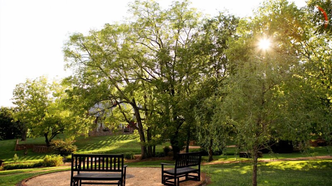 Photo of Outdoor in Orange