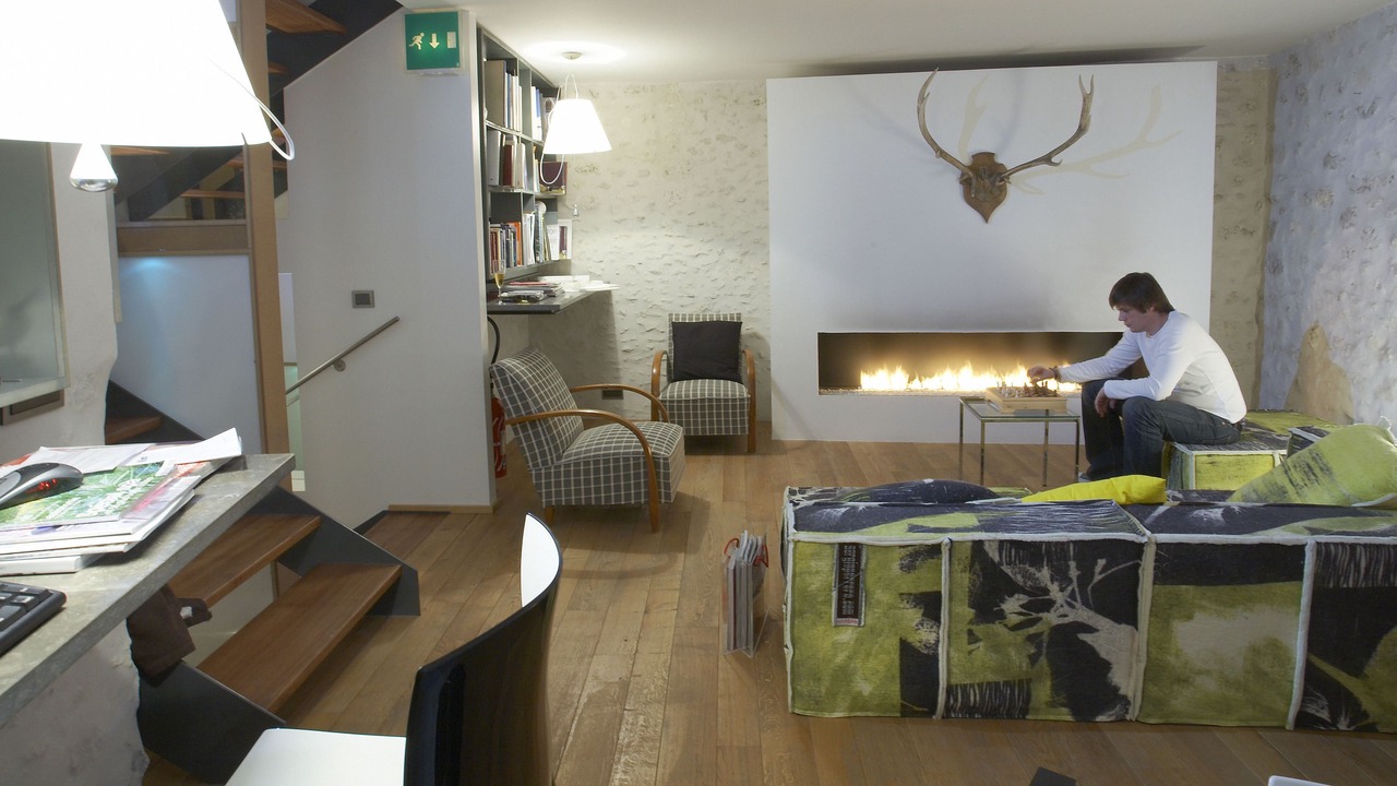 Photo of Livingroom in SammarÃ§olles