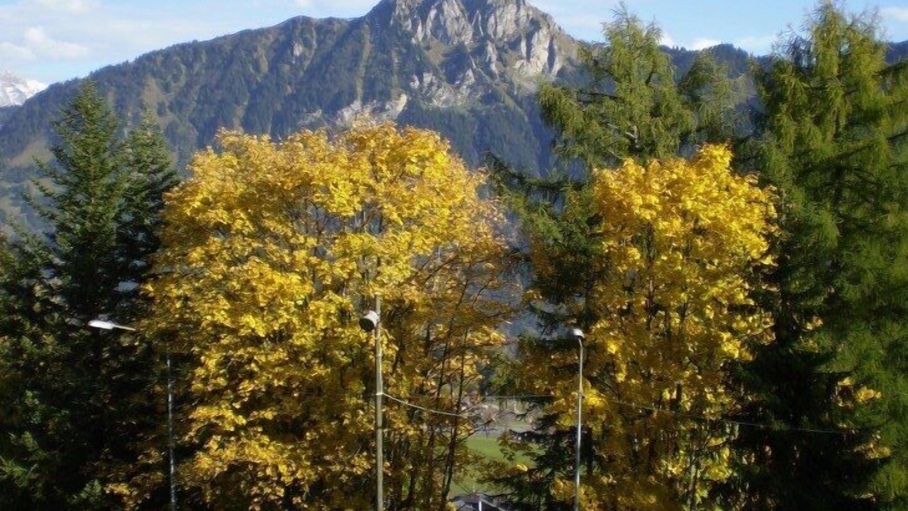 Photo of Patio Balcony in Leysin