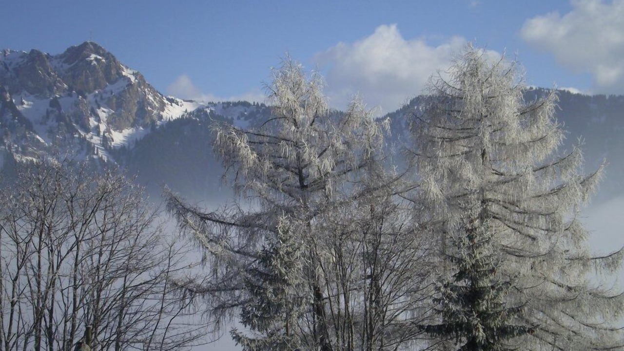 Photo of Patio Balcony in Leysin