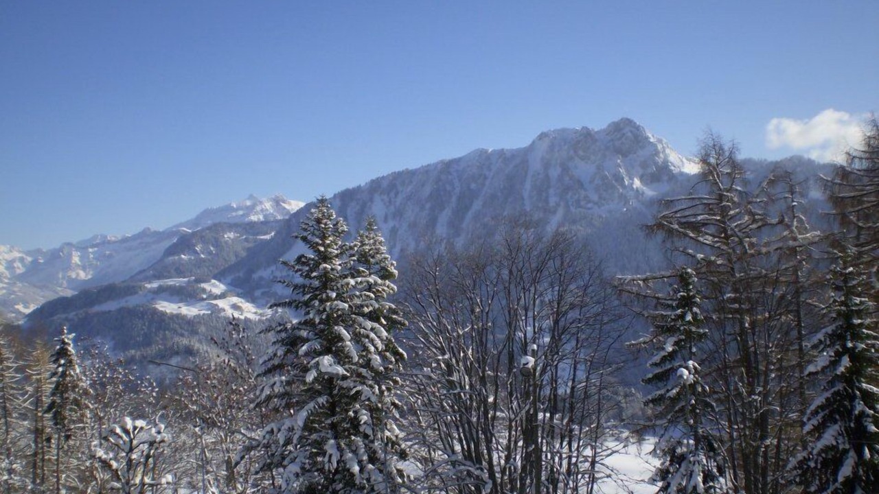 Photo of Patio Balcony in Leysin