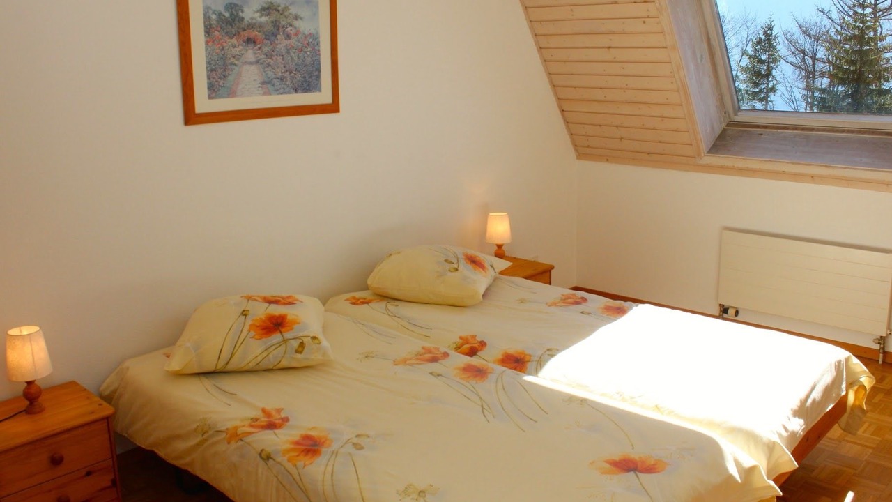 Photo of Others in Leysin