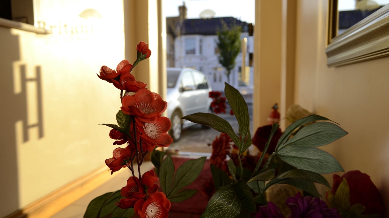 Photo of Others in Valentines