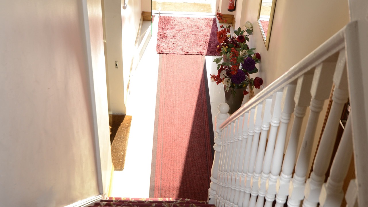 Photo of Others in Valentines