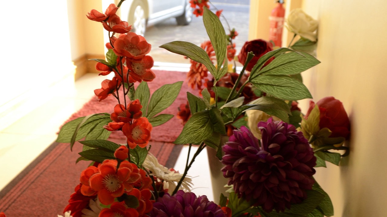 Photo of Outdoor in Valentines