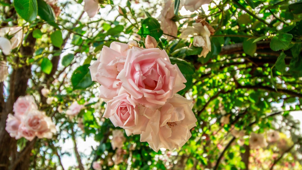 Photo of Outdoor in Marananga