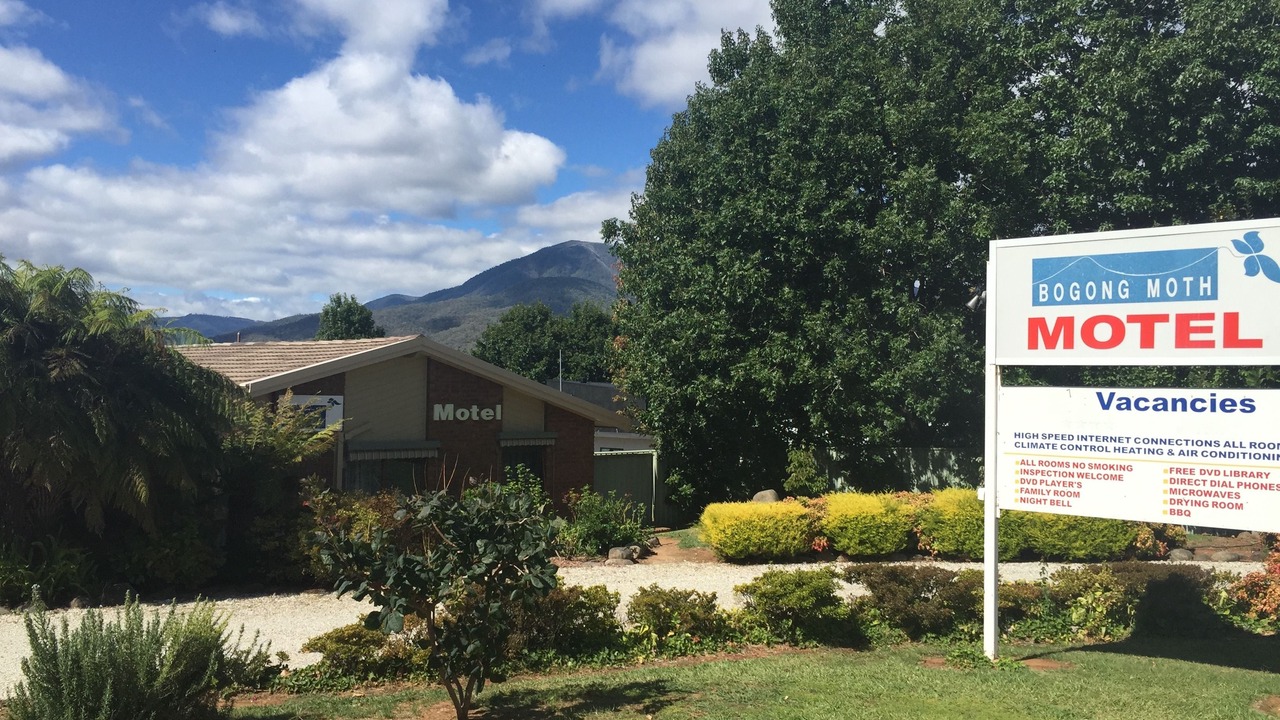 Photo of Outdoor in Tawonga South