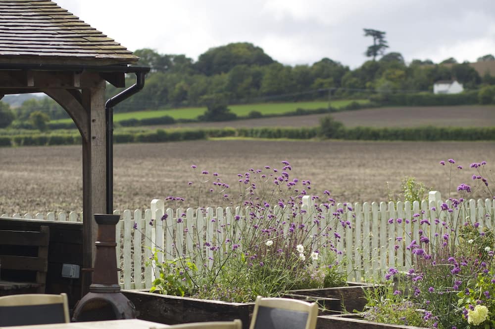 Photo of Patio Balcony in Lower Froyle