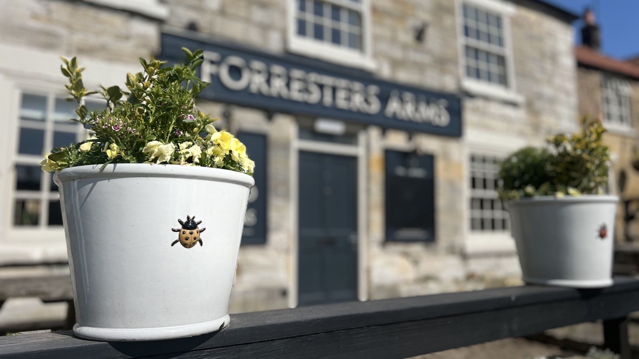 Photo of Outdoor in Scawton