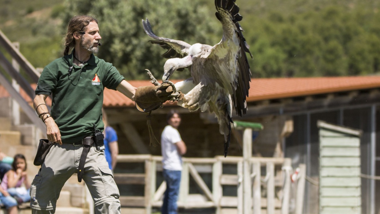 Photo of Others in Valtierra