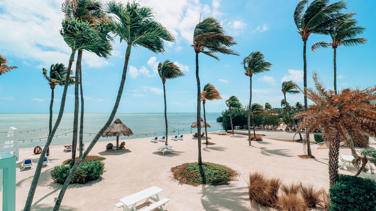 Photo of Outdoor in Islamorada