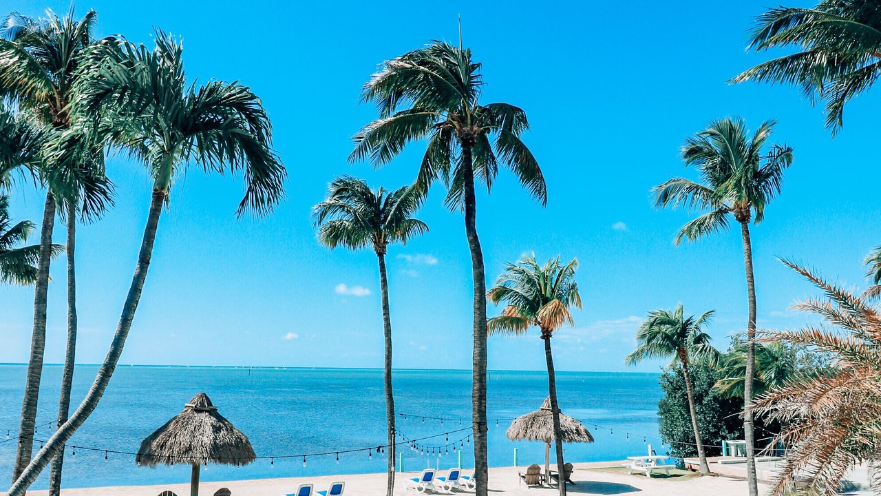 Photo of Outdoor in Islamorada