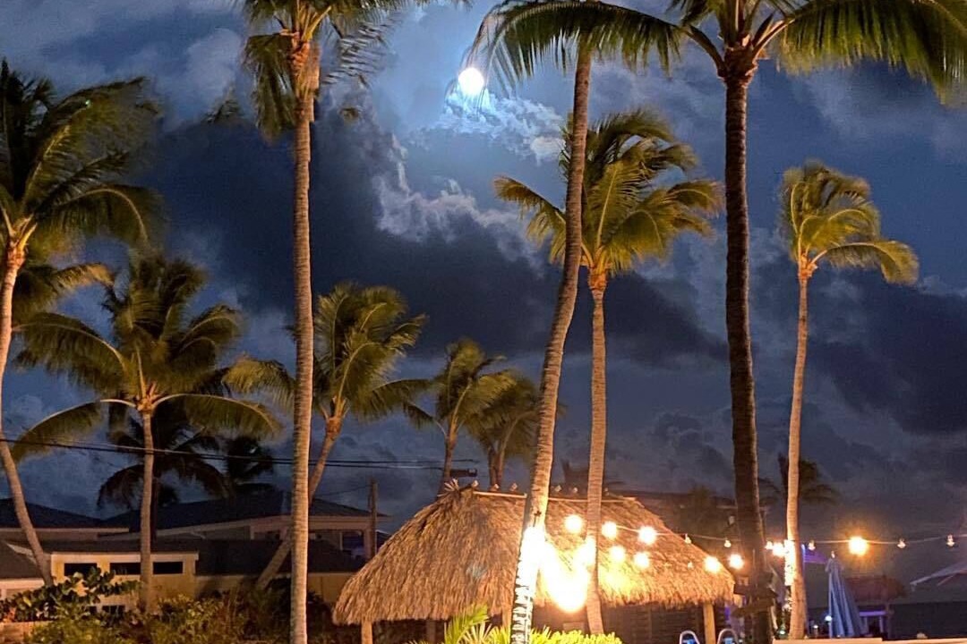 Photo of Others in Islamorada