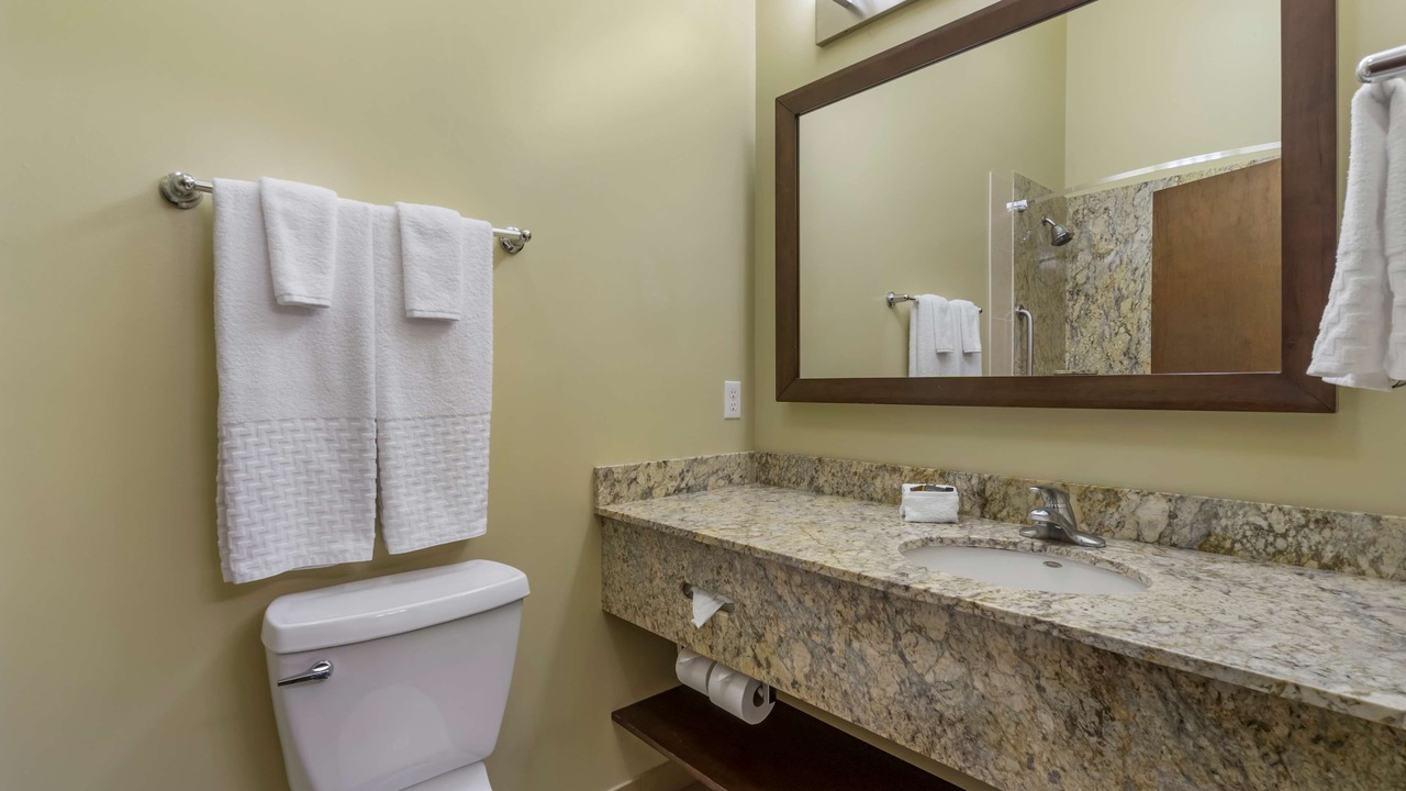 Photo of Others in Lacey