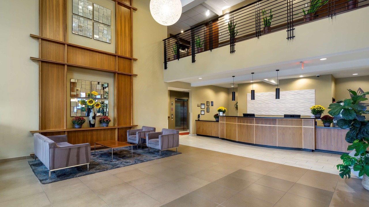 Photo of Others in Lacey