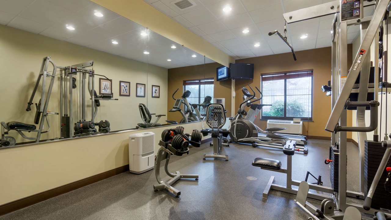 Photo of Others in Lacey