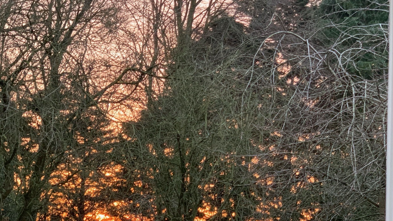 Photo of Others in Great Ellingham