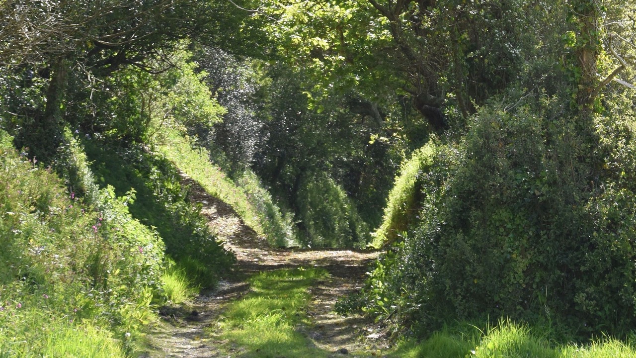 Photo of Others in Newquay