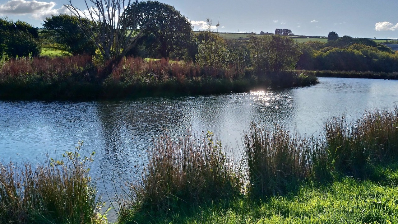 Photo of Others in Newquay