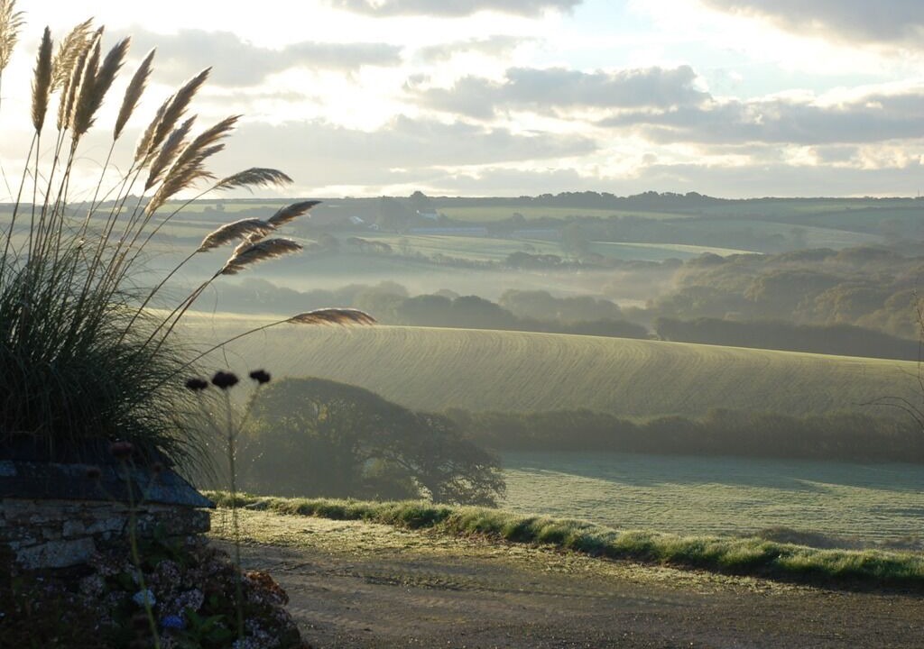 Photo of Others in Newquay