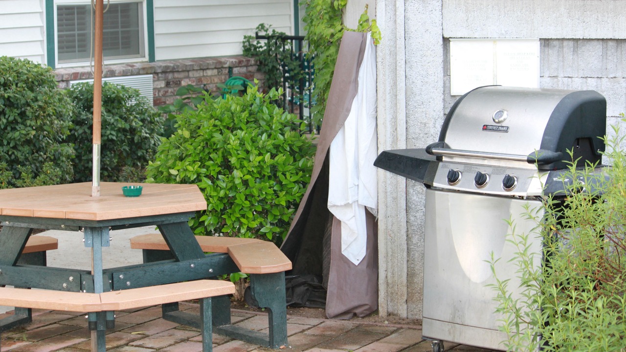 Photo of Outdoor in Grass Valley